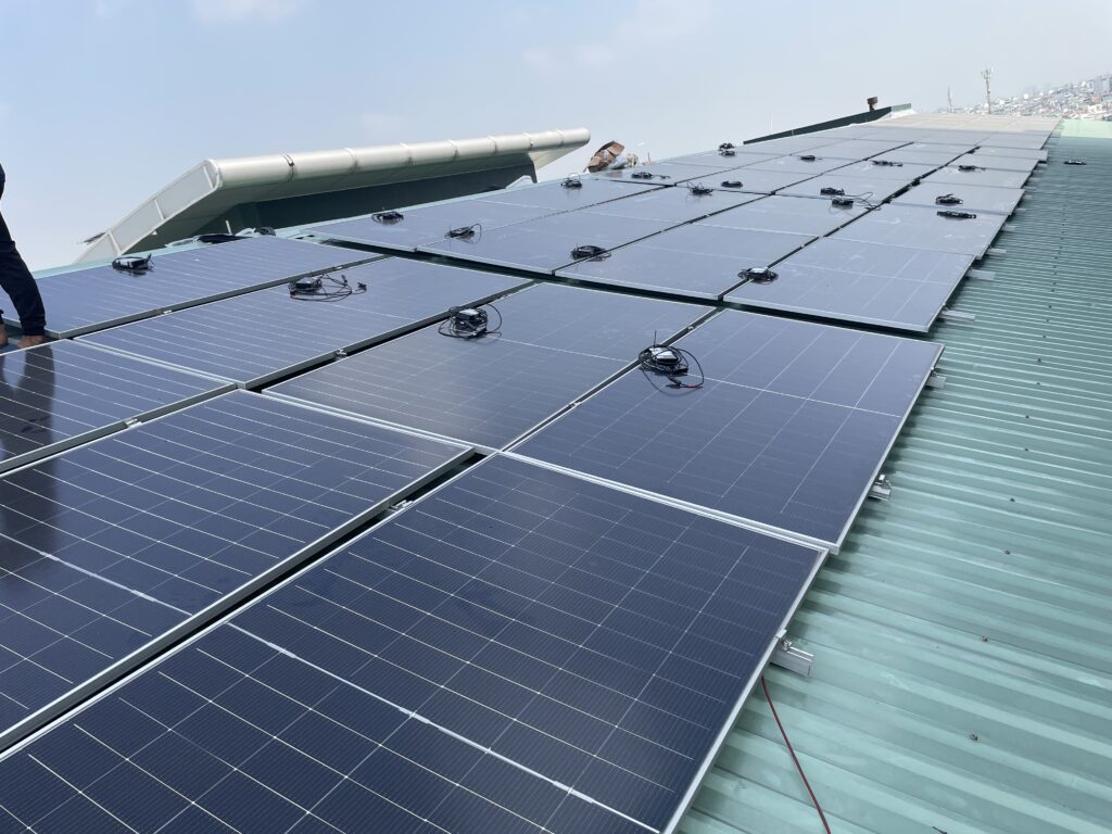 báo tuổi trẻ dc-optimizer